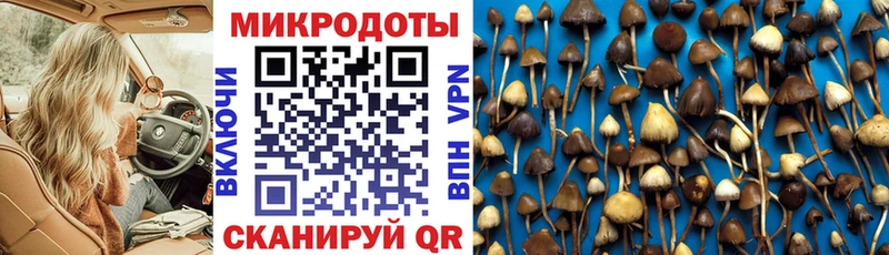 купить наркотик  нарко площадка формула  Псилоцибиновые грибы мицелий  Златоуст 